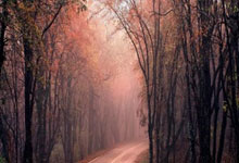 [健身动起来]吴文英带来负重有氧综合训练.