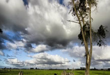 亚博：还是压不住火扎卡在勒沃库森德国杯被淘汰后与球迷发生言语冲突.