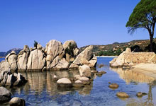 亚博：[欧冠]小组赛第5轮：马竞VS勒沃库.